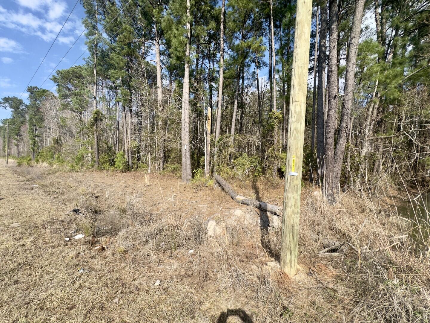 0 Highway 6 Pinopolis Sc 29469 Moncks Corner, SC 29461 - Photo 22 of 23 ground photos (16)