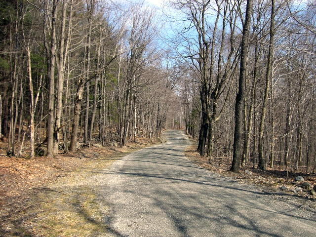1 Dimmock Road Otis, MA 01253 - Photo 4 of 13 a view of road with trees