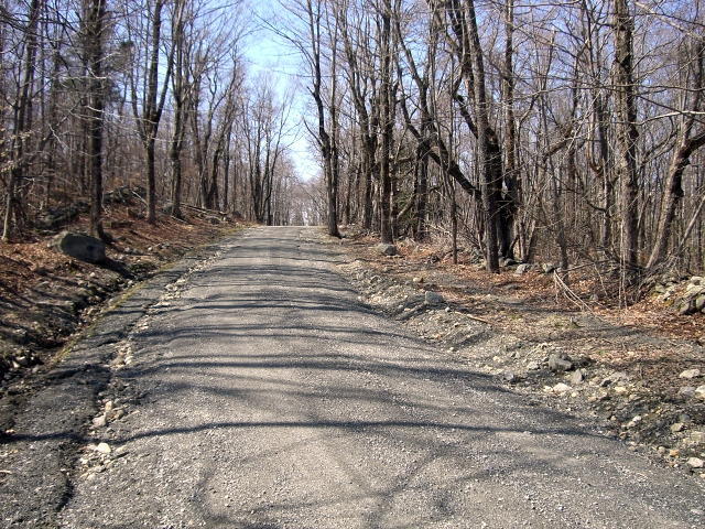1 Dimmock Road Otis, MA 01253 - Photo 5 of 13 a view of park space with trees