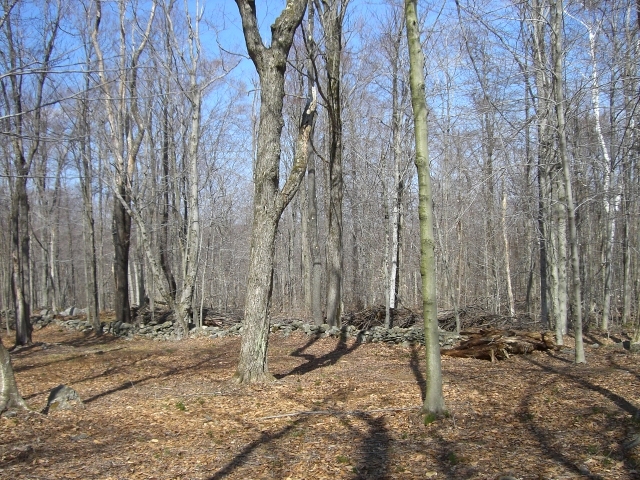 1 Dimmock Road Otis, MA 01253 - Photo 9 of 13 a view of a backyard of the house