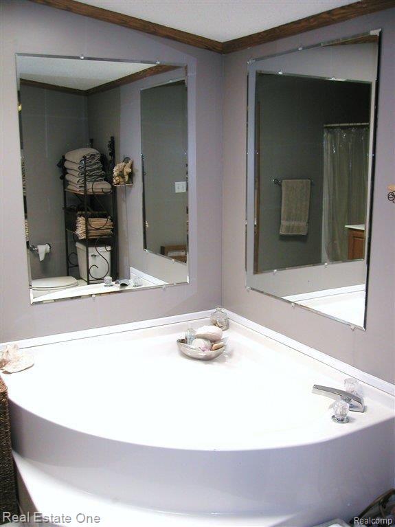 28801 Elwell Road Belleville, MI 48111 - Photo 15 of 20 MASTER BATH GARDEN TUB