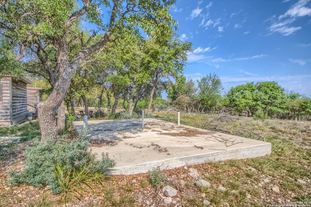 a view of a yard with plants and trees