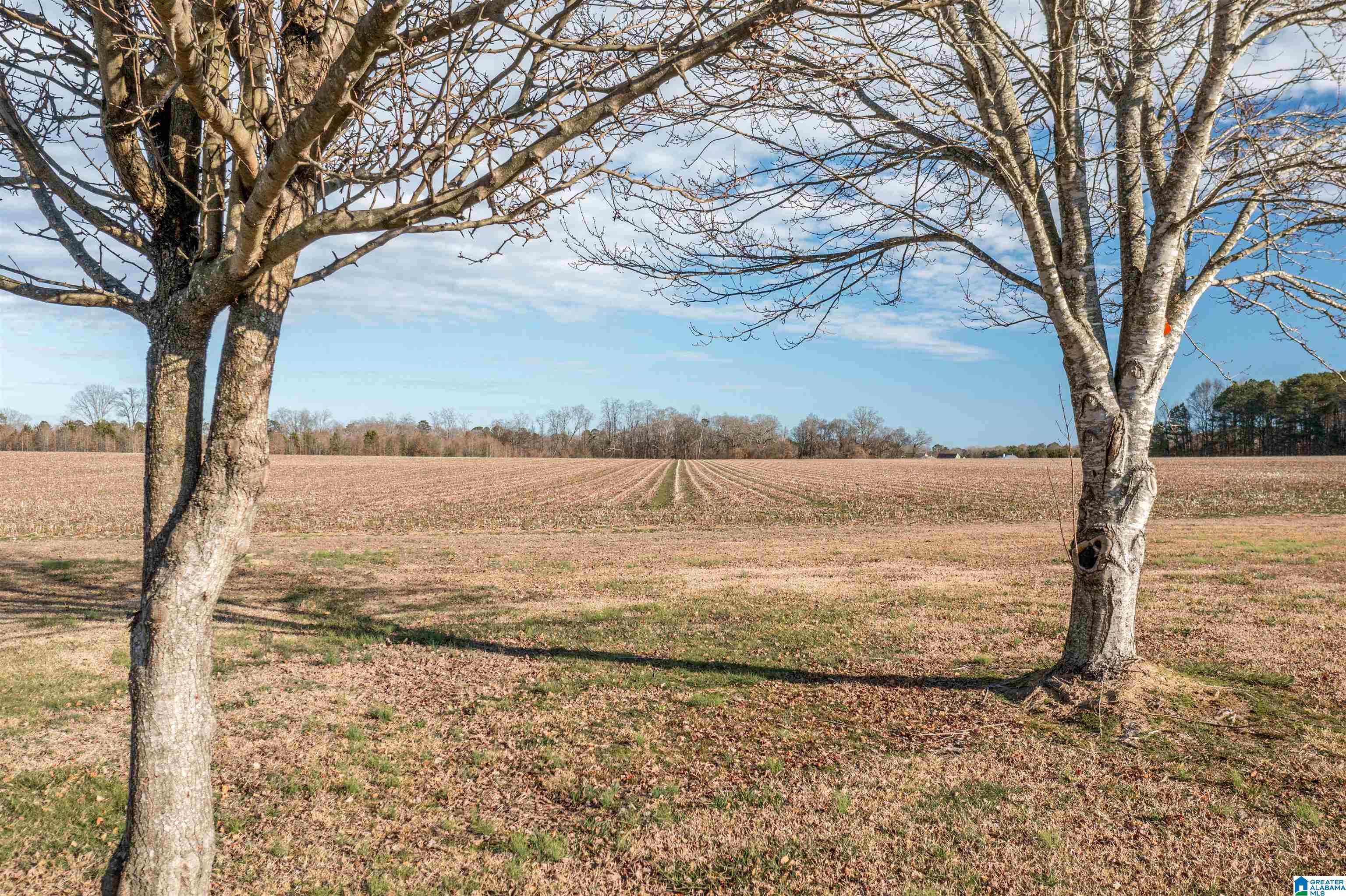 730 County Road 494 Centre, AL 35960 - Photo 28 of 29