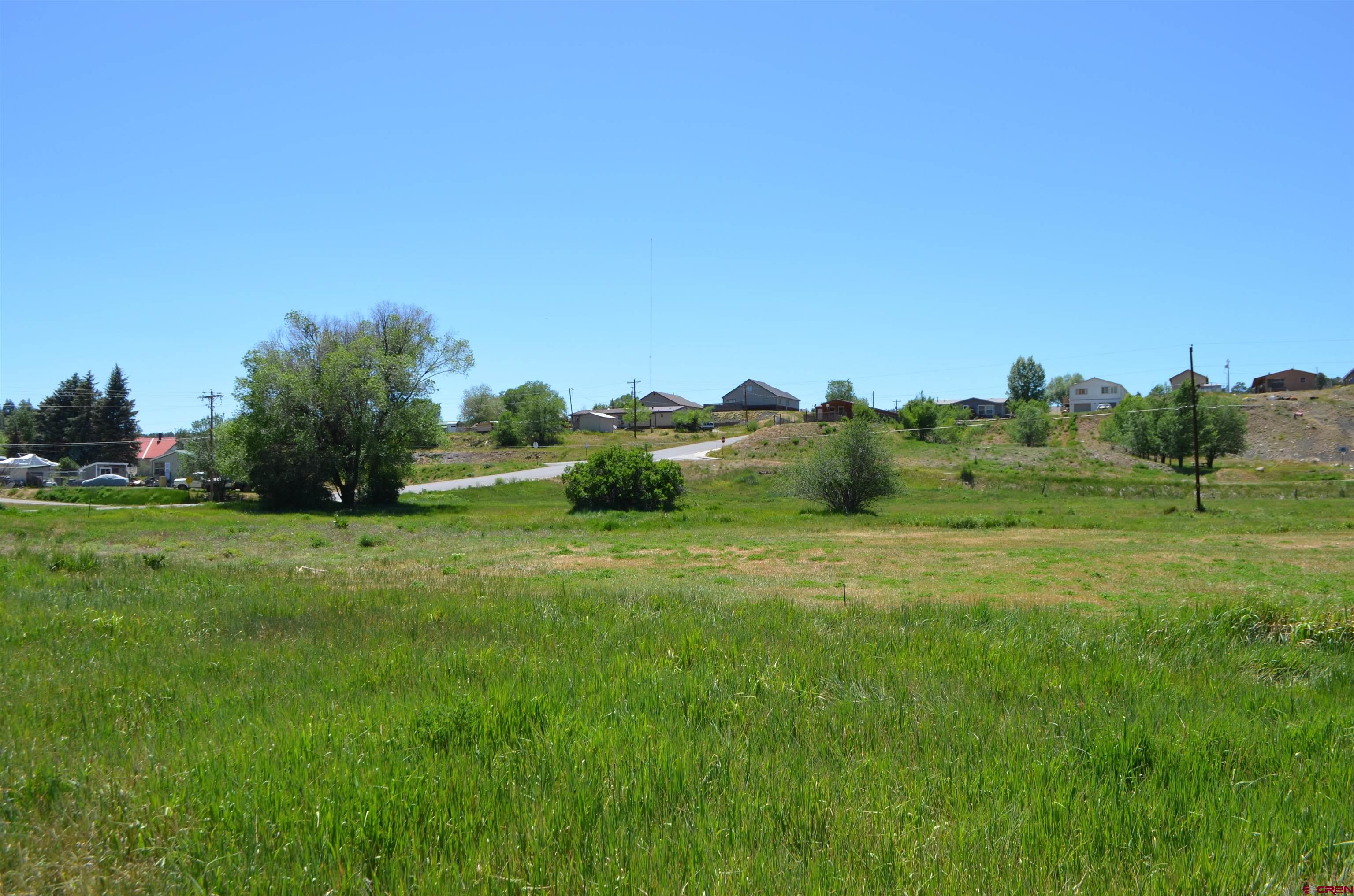 a big yard with lots of green space and deers