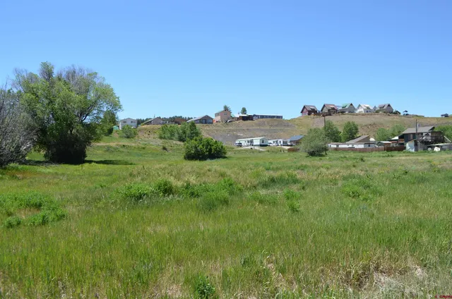 a view of a grassy field with trees