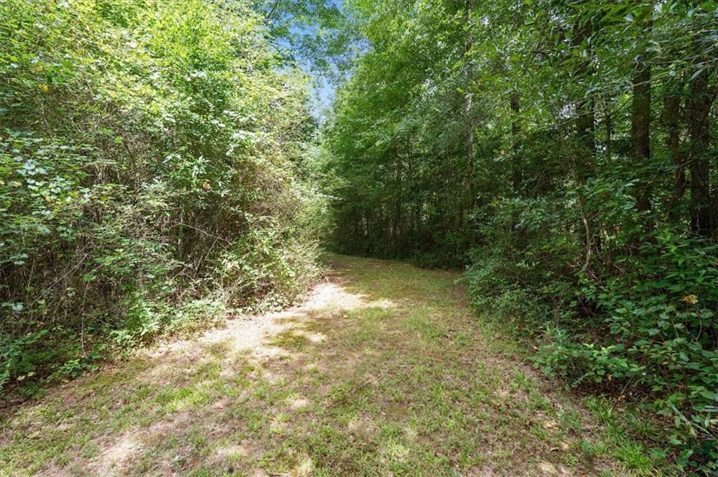 590 W Highway Roopville, GA 30170 - Photo 57 of 63