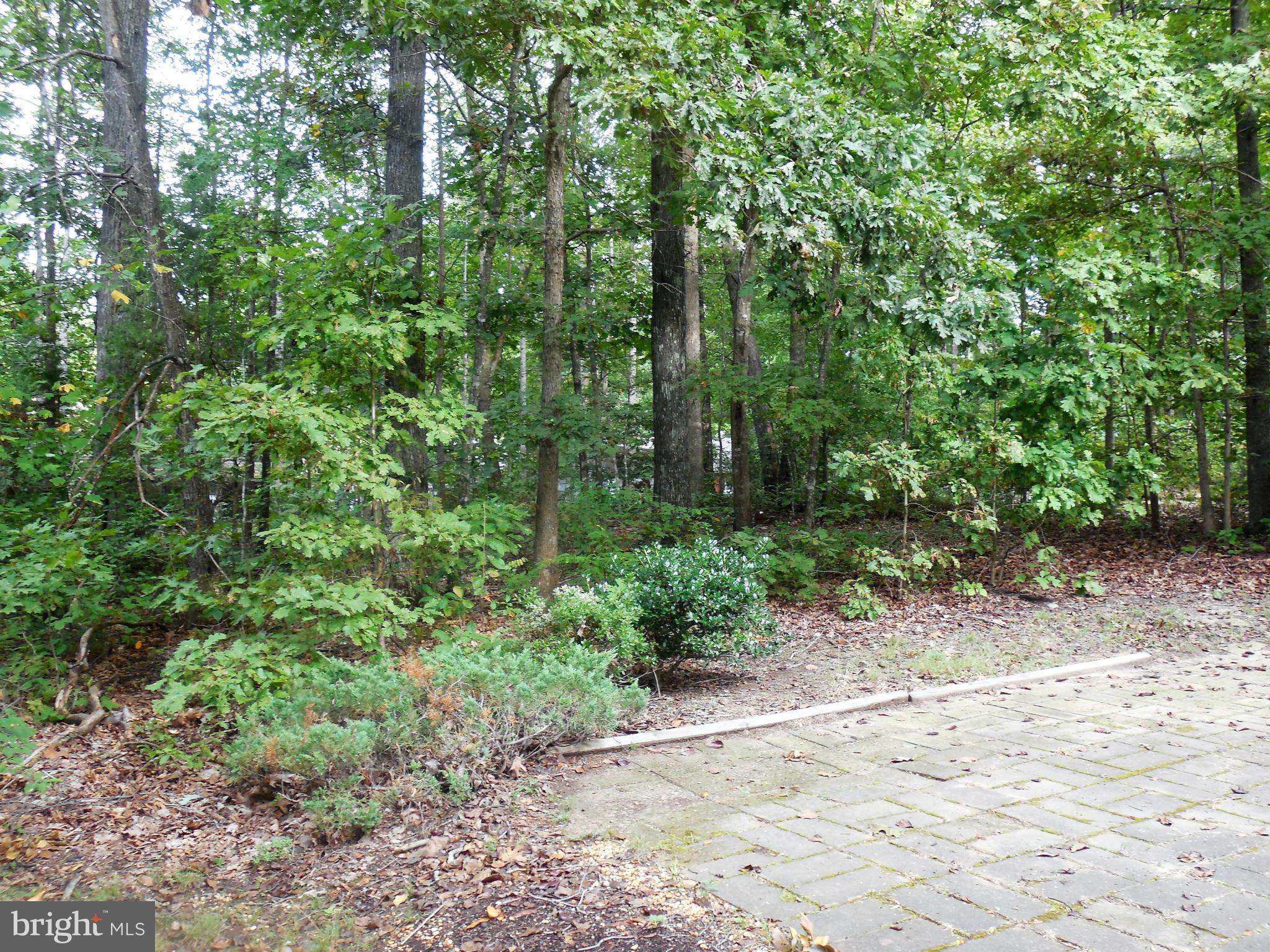 216 Monument Road Locust Grove, VA 22508 - Photo 8 of 25 Exterior (Rear)