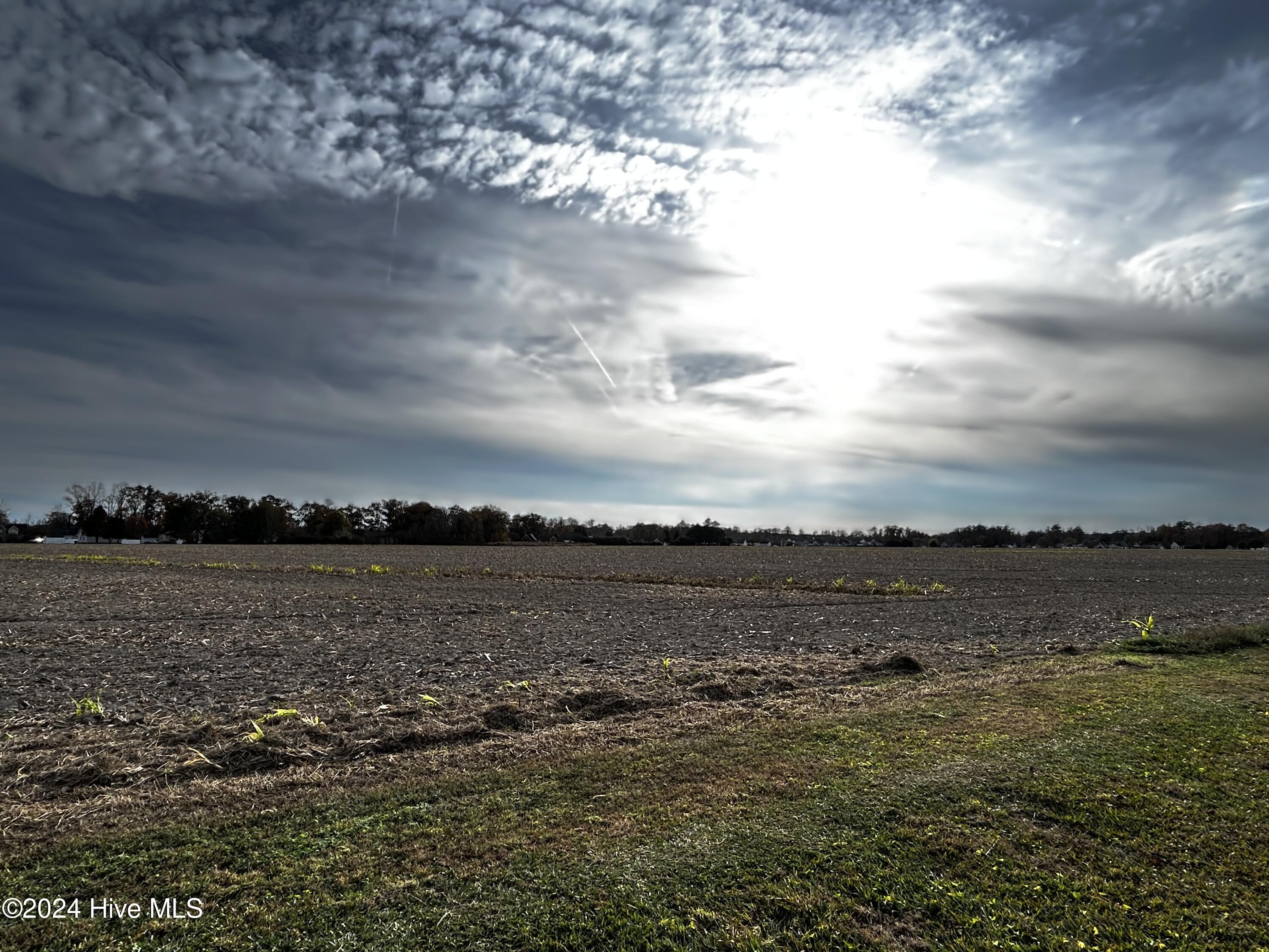 183 South Mill Dam Road Camden, NC 27921 - Photo 49 of 65 currently has farm field view