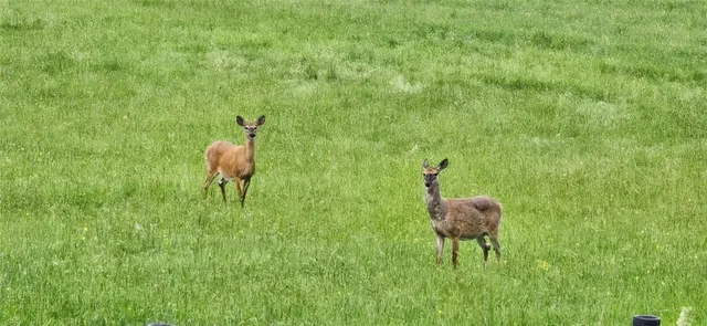 $334,000 | 1657 County Highway, Otego, NY 13825