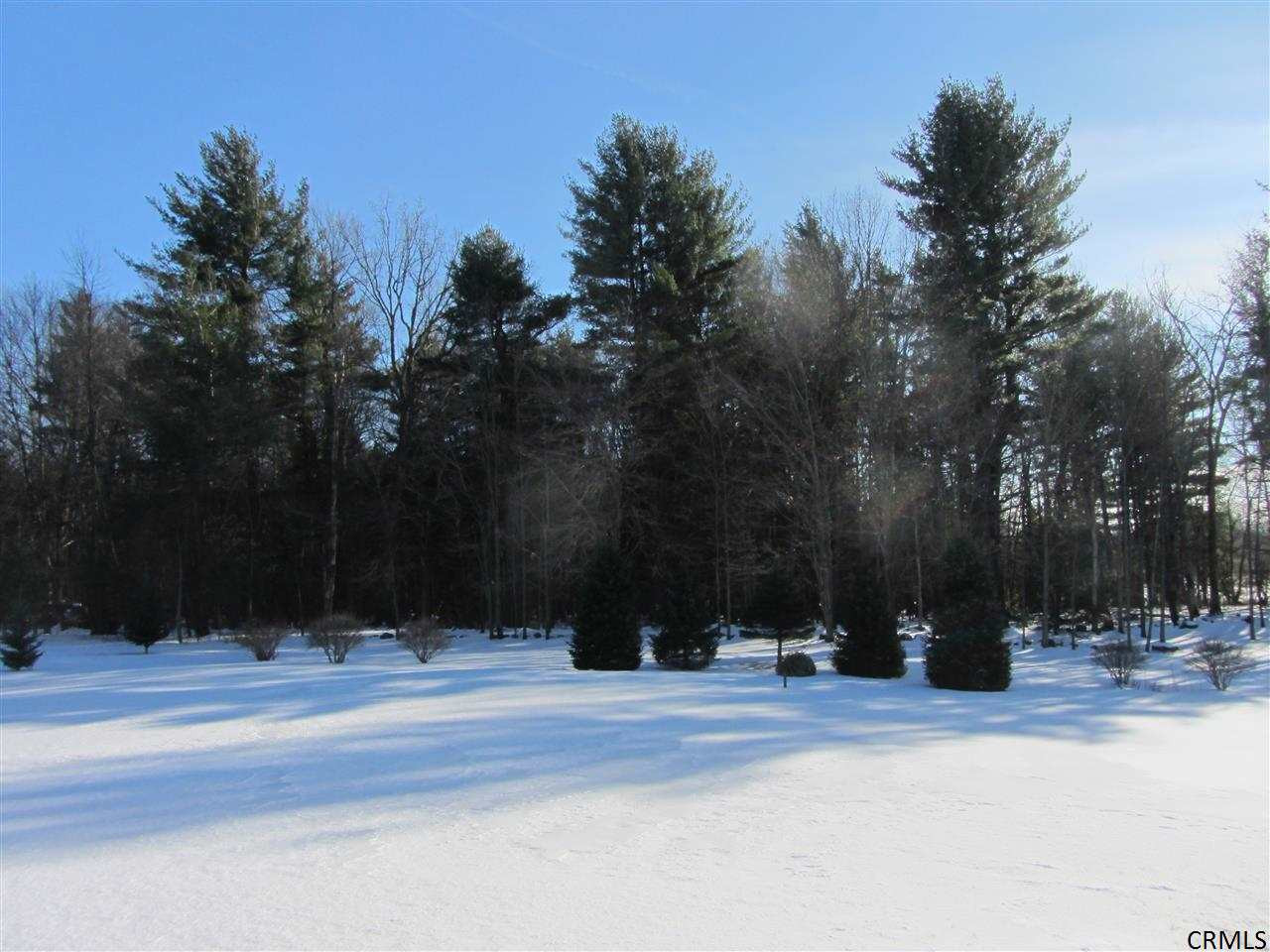 8 Kelly Meadow Road Ballston, NY 12027 - Photo 3 of 25 Photo 3