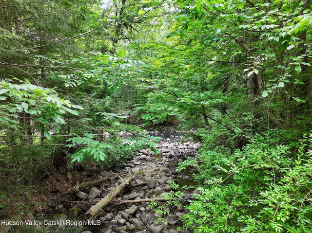 a view of a lush green forest with lots of trees