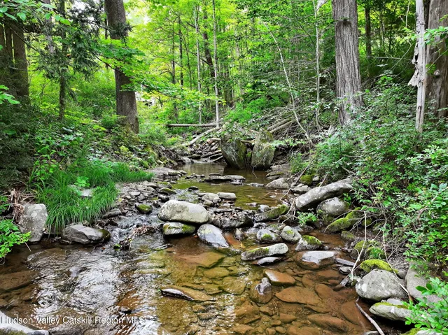 a view of a lush green hillside and a mountain