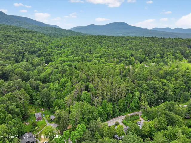 a view of a lush green hillside and a houses
