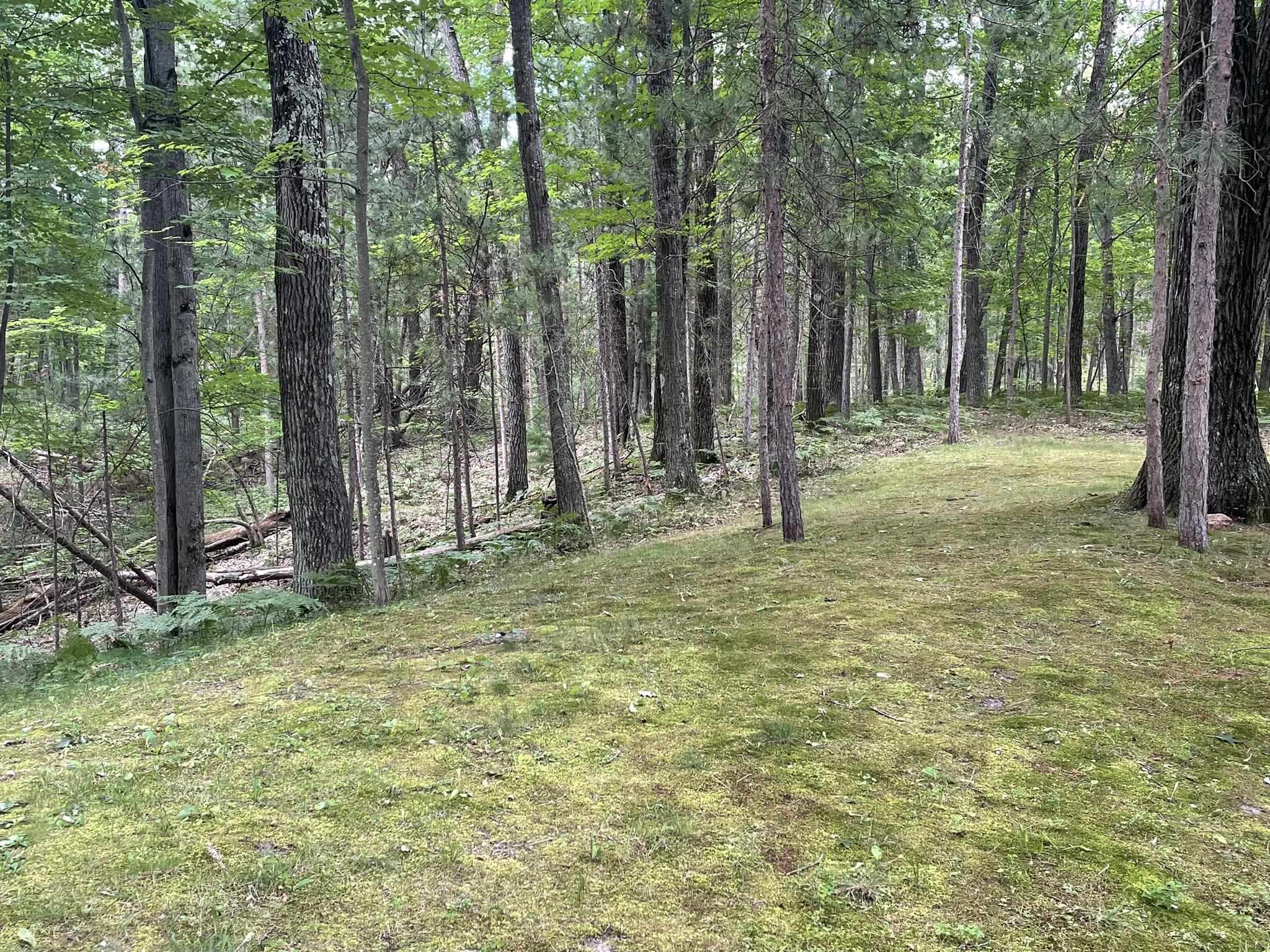 5909 Loon Lake Loop Road Rose City, MI 48654 - Photo 25 of 25 1925795-a8513cba-6a2d-4b0b-9f45-d75a2eec371a.JPG
