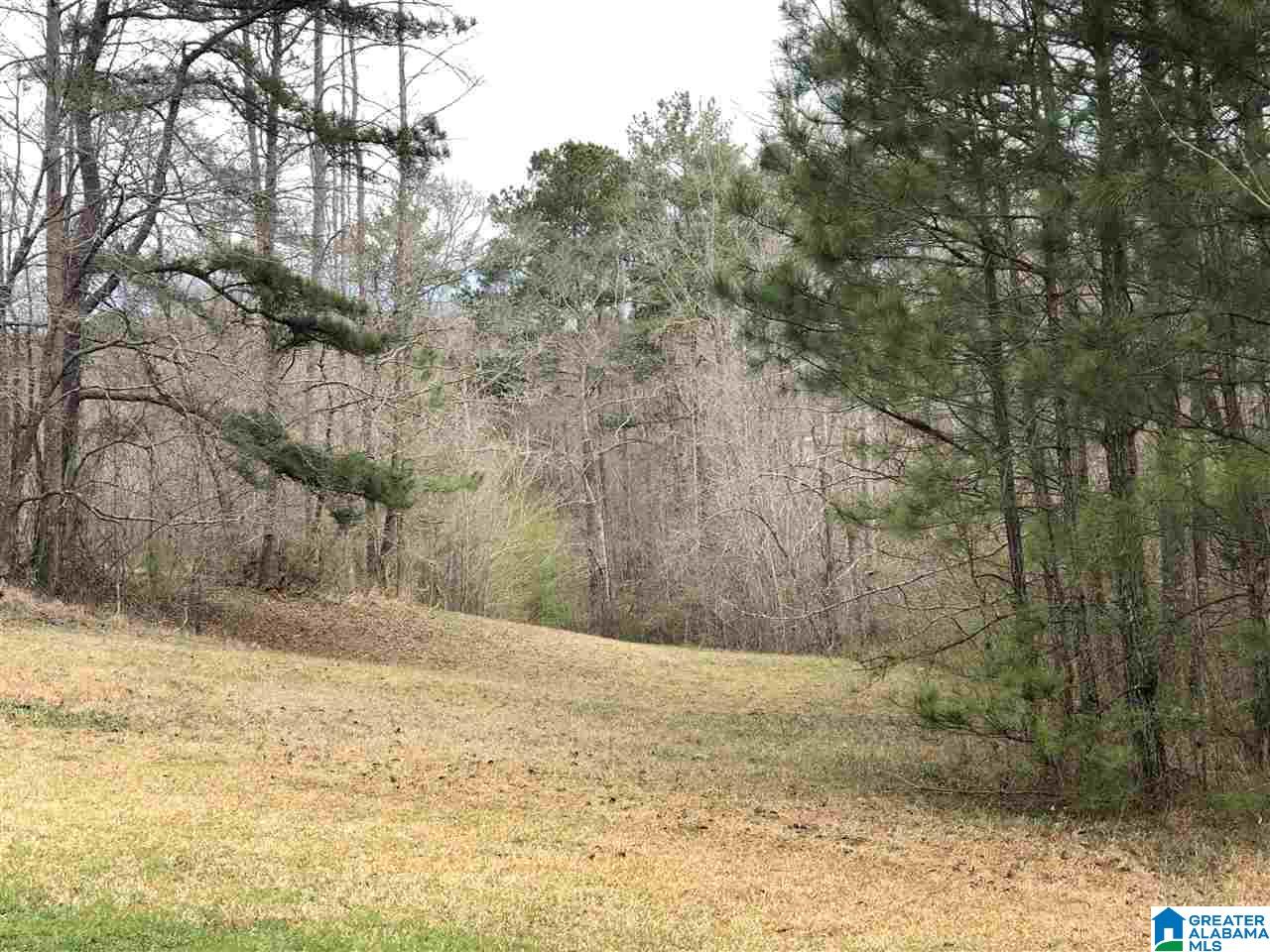 1715 Cook Springs Road, Unit 1 Pell City, AL 35125 - Photo 1 of 4