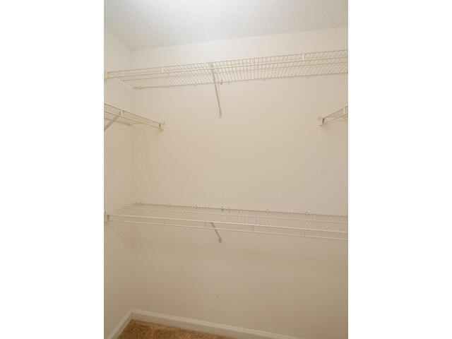 186 Spring Oak Lane North Augusta, SC 29841 - Photo 20 of 36 Owners Walk in Closet