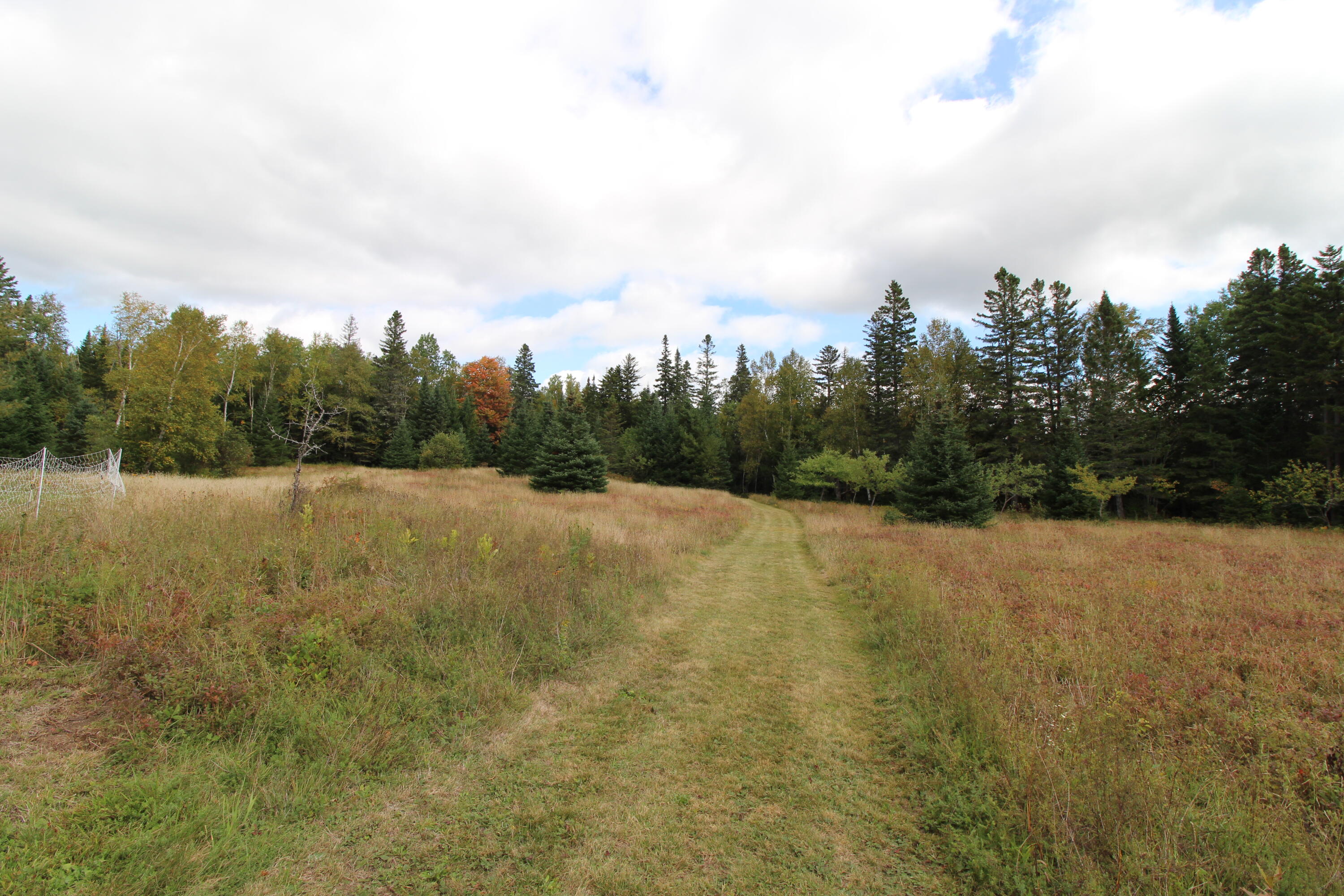 650 Dallas Hill Road Dallas Plt, ME 04970 - Photo 20 of 37 IMG_3256