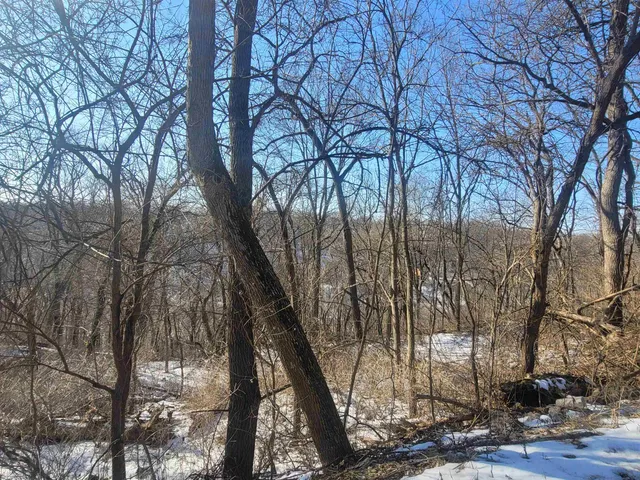 $19,900 | Tbd Ridge Street, Galena, IL 61036