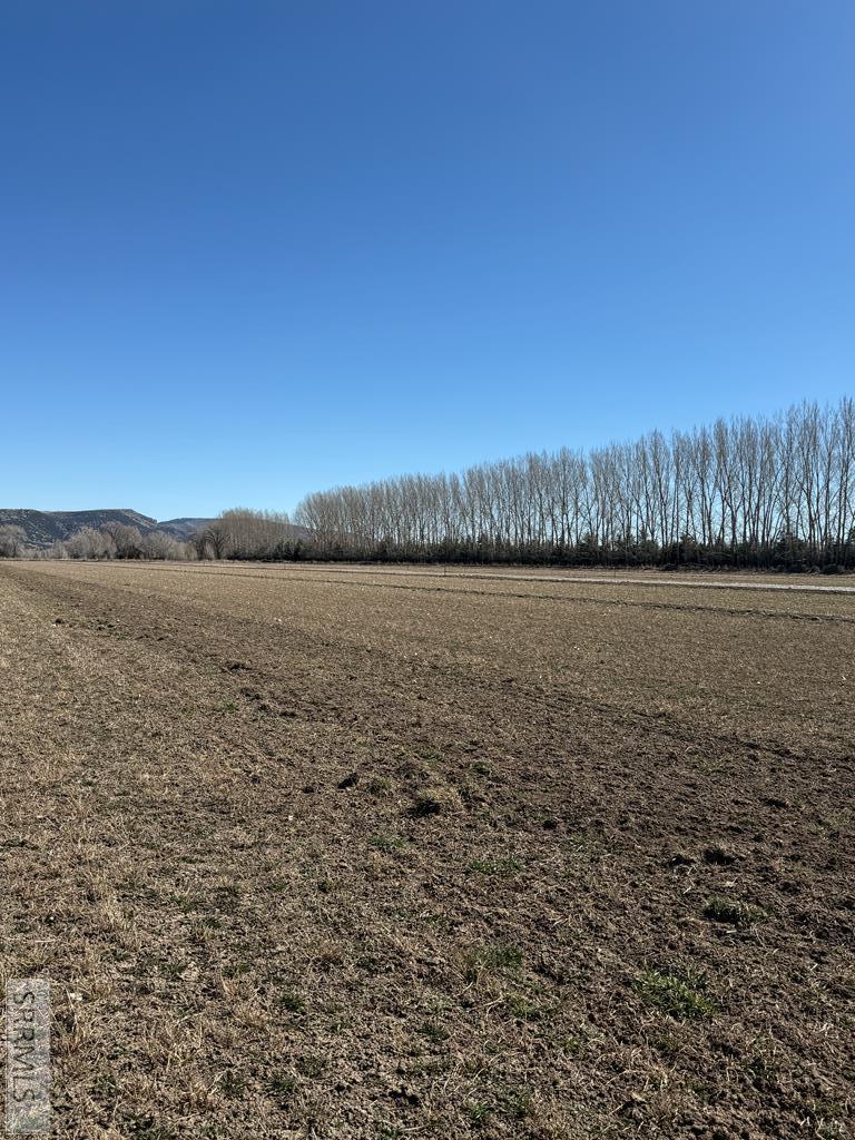 Lot 2 North 4700 Street Rigby, ID 83442 - Photo 14 of 23