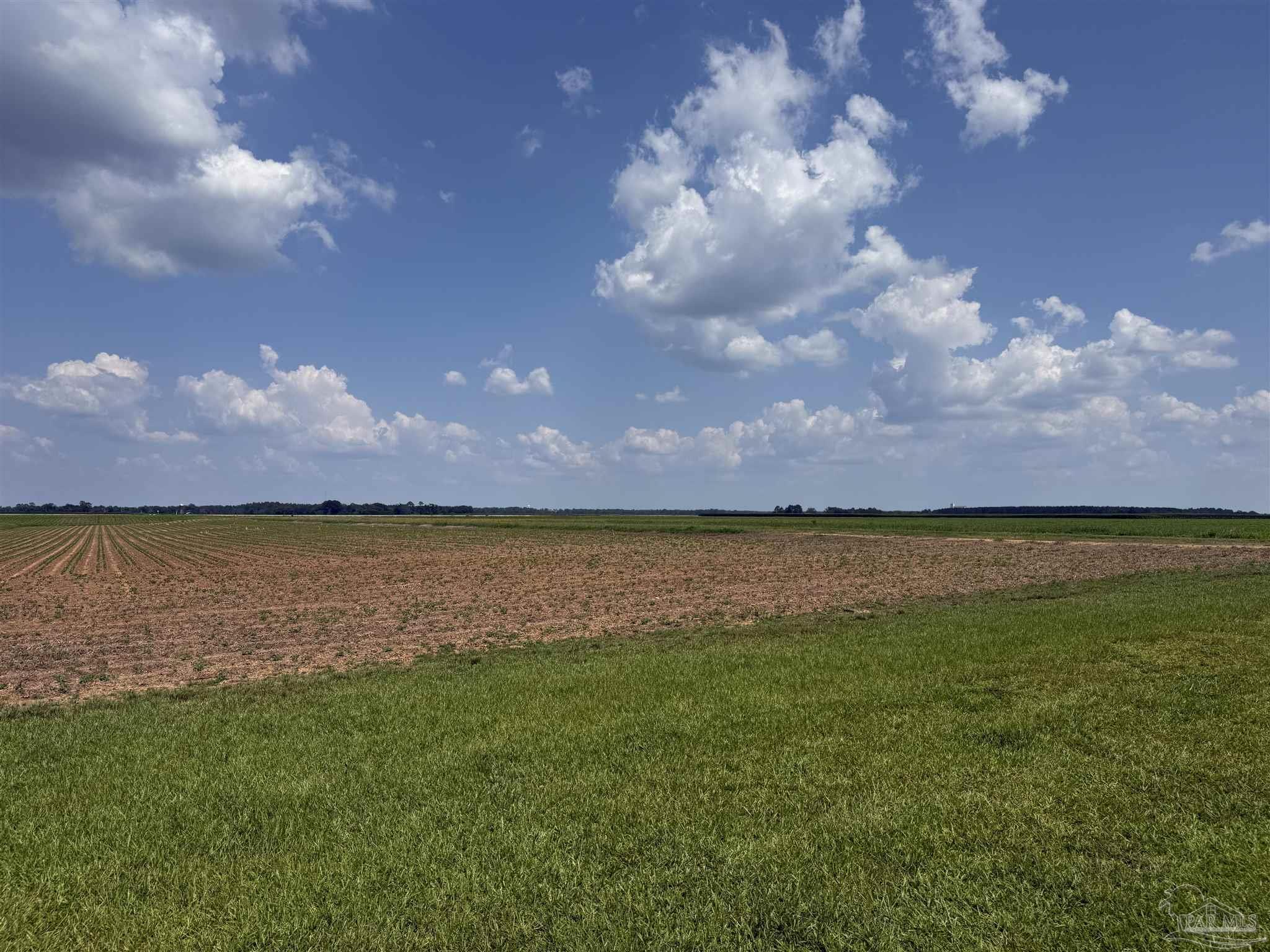 6000 Doran Road McDavid, FL 32568 - Photo 39 of 69