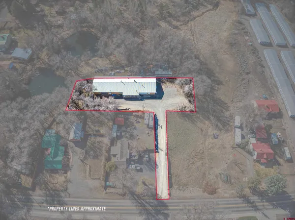 an aerial view of a house with a yard and large tree