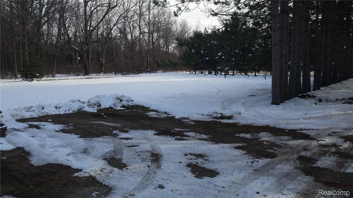 11880 Speaker Road Yale, MI 48097 - Photo 26 of 28 This is a view of the side yard.