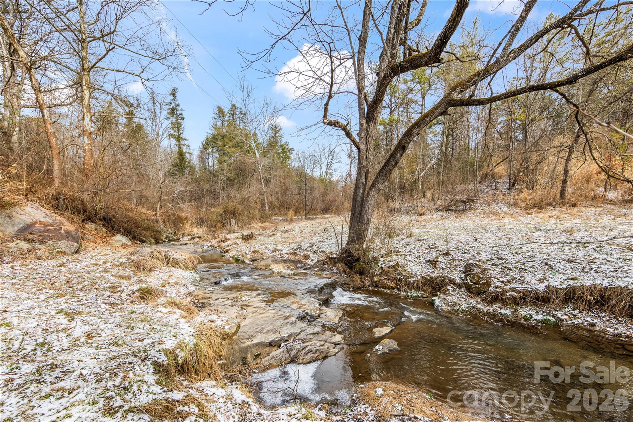 Tbd Lower White Oak Road Marshall, NC 28753 - Photo 1 of 18 a view of yard covered with snow