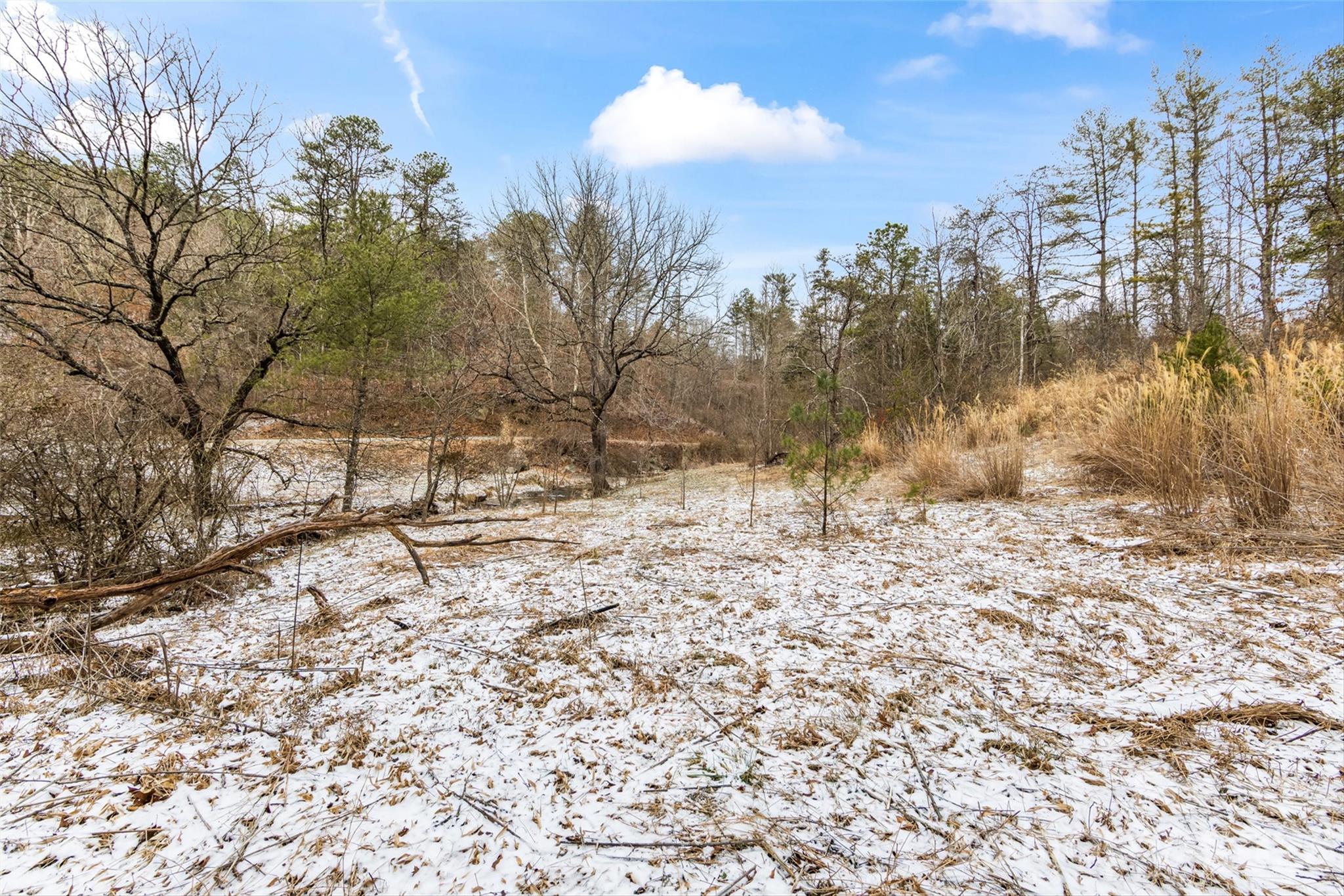 Tbd Lower White Oak Road Marshall, NC 28753 - Photo 12 of 18 a view of snow on the side of a road