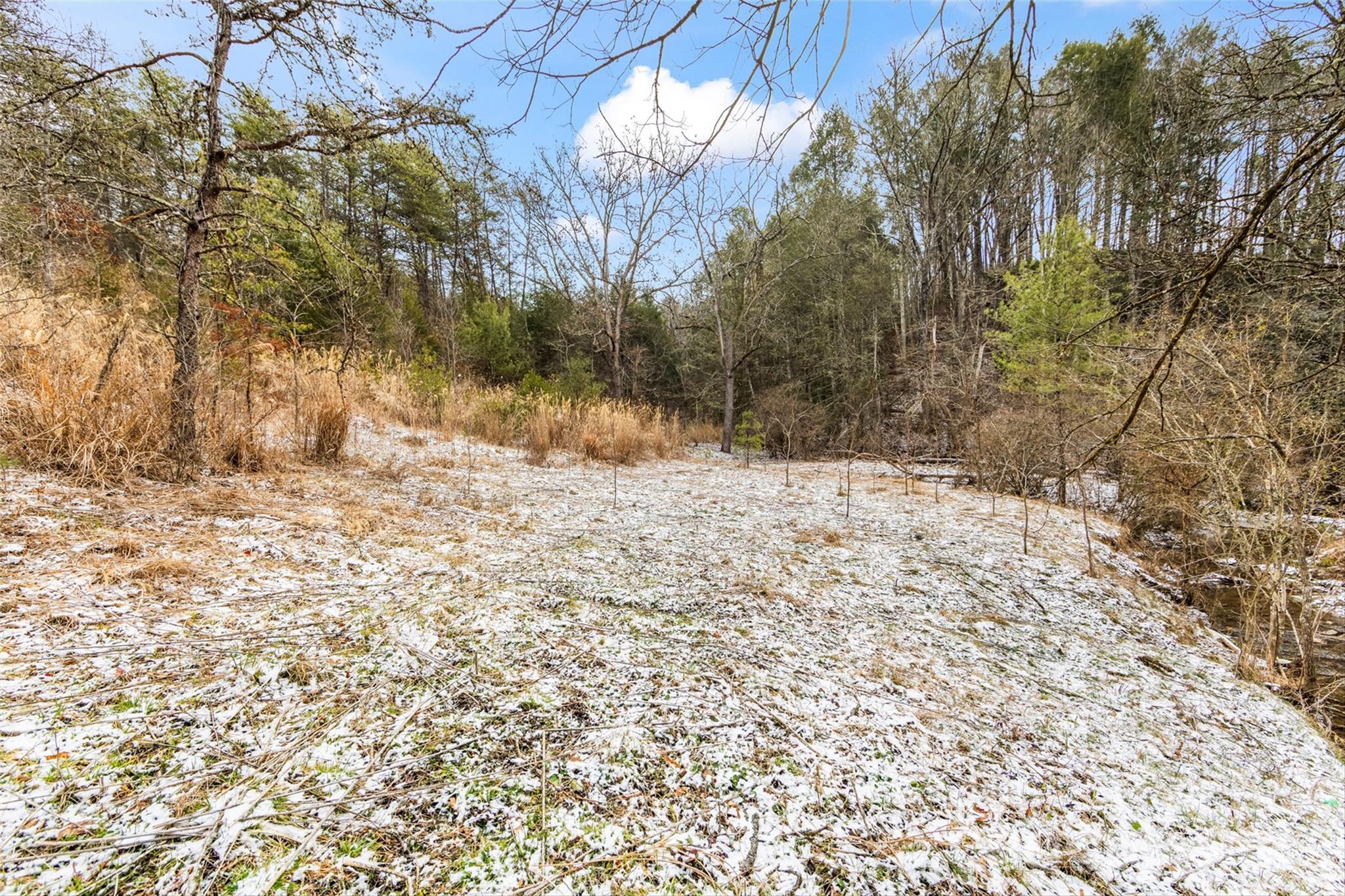 Tbd Lower White Oak Road Marshall, NC 28753 - Photo 15 of 18