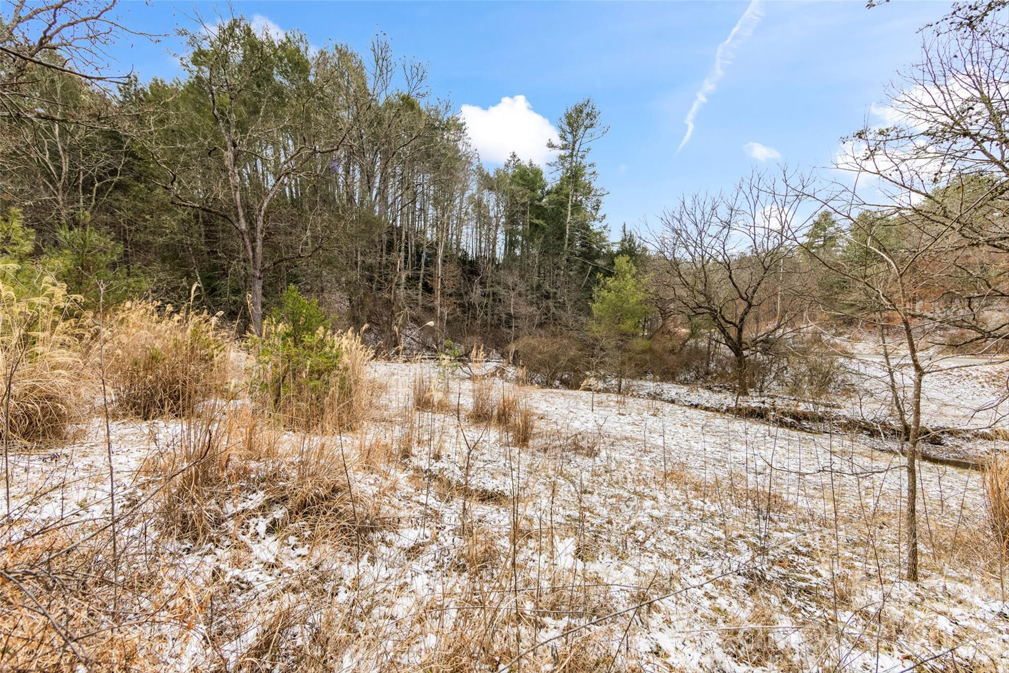 Tbd Lower White Oak Road Marshall, NC 28753 - Photo 2 of 18