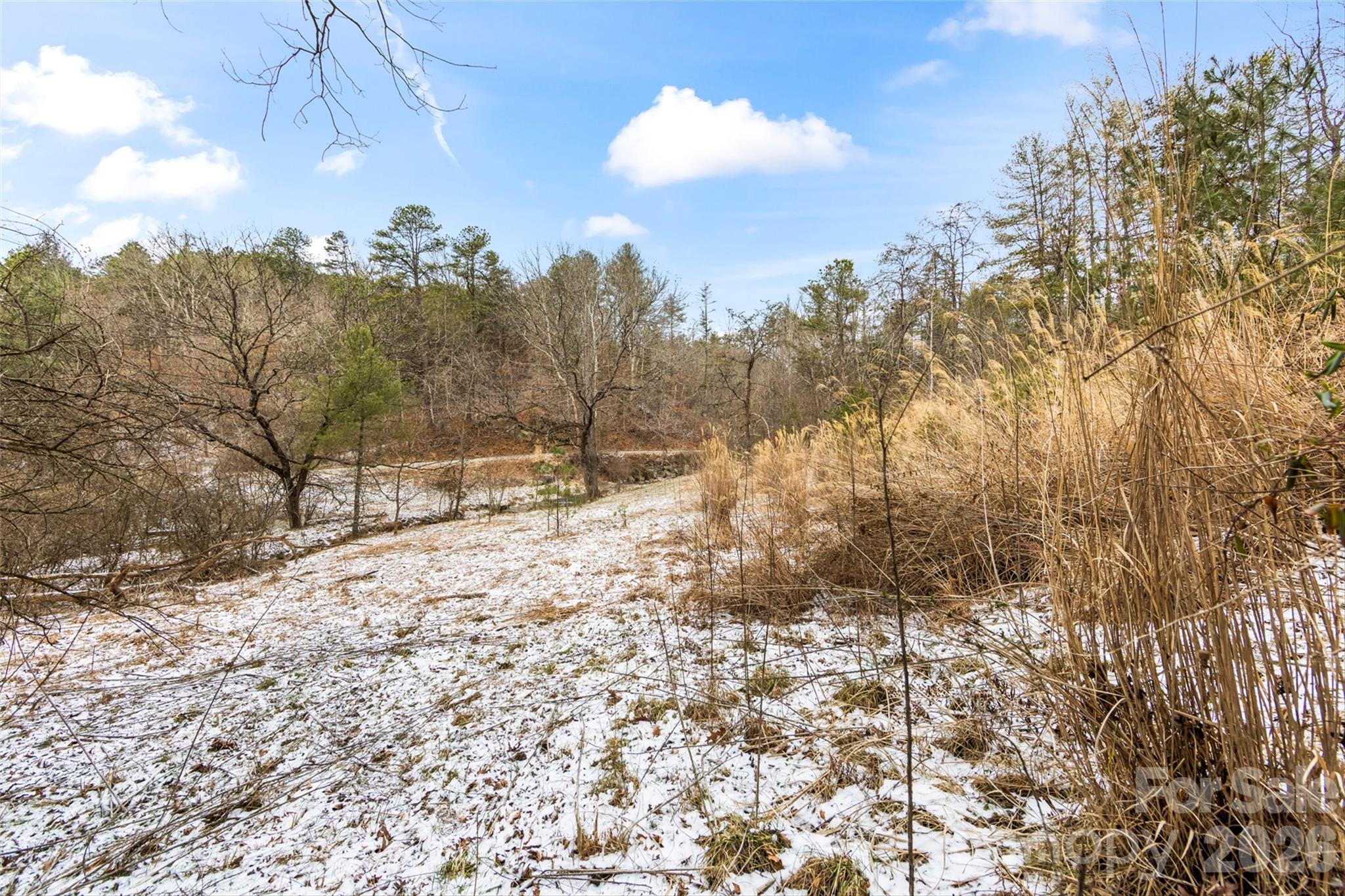 Tbd Lower White Oak Road Marshall, NC 28753 - Photo 4 of 18 a view of a yard covered in snow