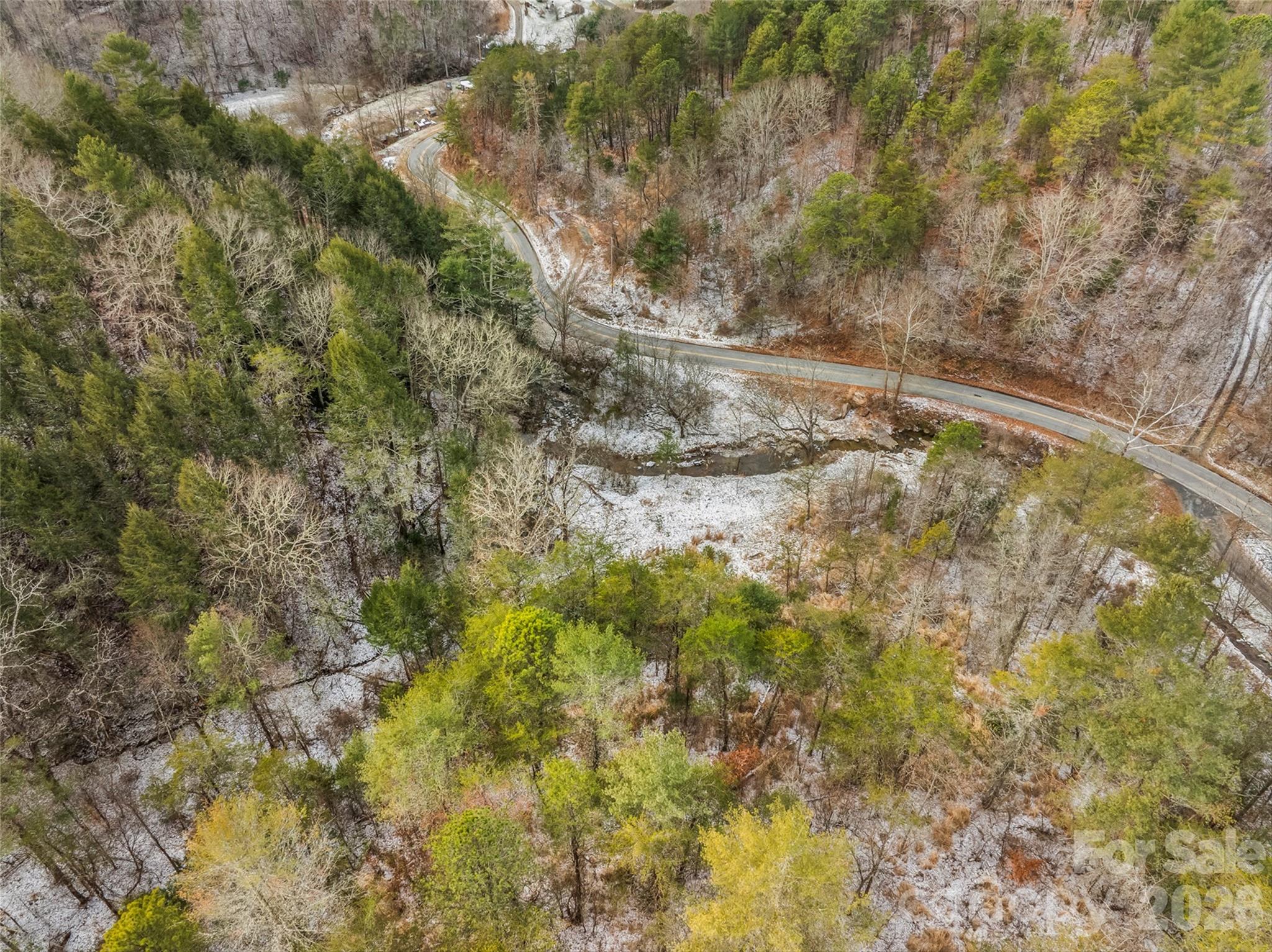 Tbd Lower White Oak Road Marshall, NC 28753 - Photo 6 of 18 a yard with a tree