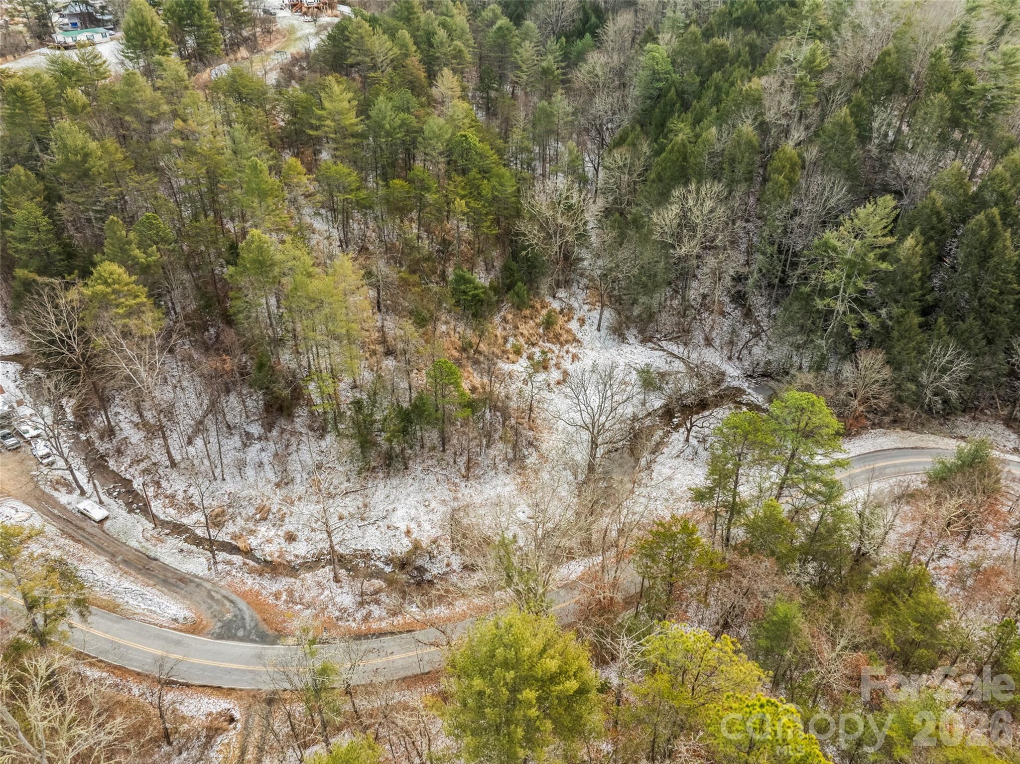 Tbd Lower White Oak Road Marshall, NC 28753 - Photo 9 of 18 a view of a tree with lots of trees