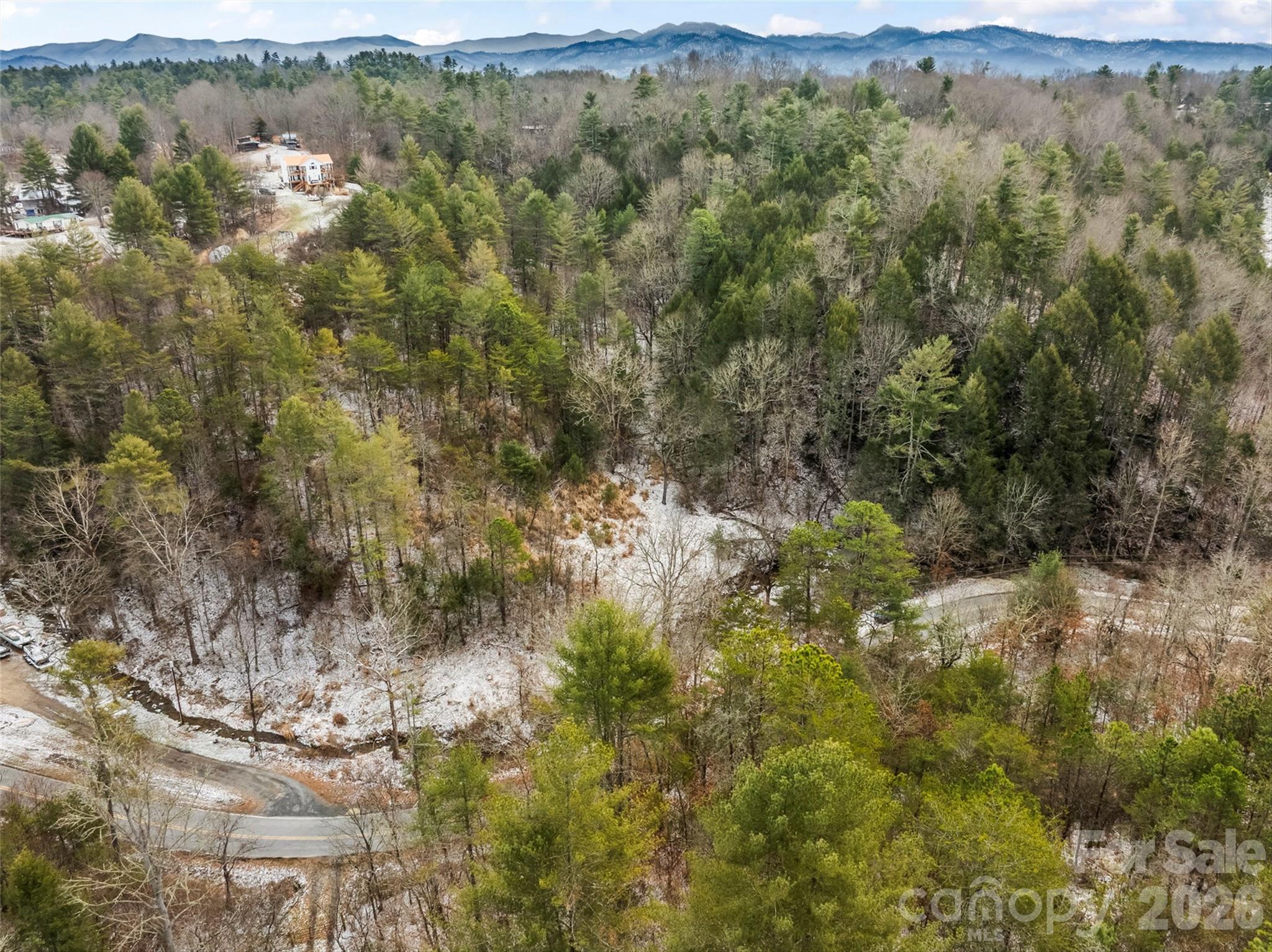 Tbd Lower White Oak Road Marshall, NC 28753 - Photo 10 of 18 a view of a forest with mountains in the background
