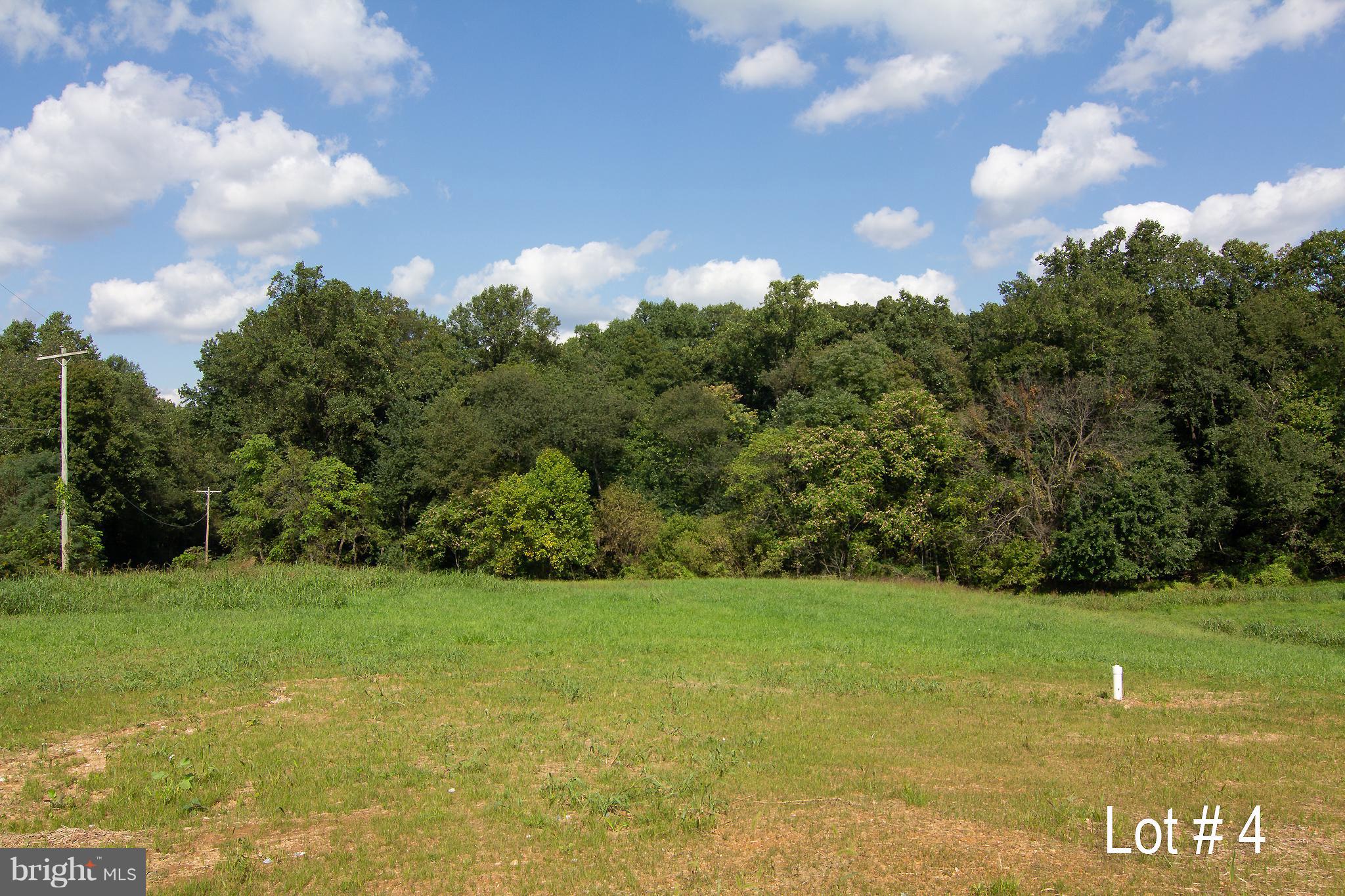 7319 Talbot Run Road Mount Airy, MD 21771 - Photo 52 of 54 View of the lot before the home was built