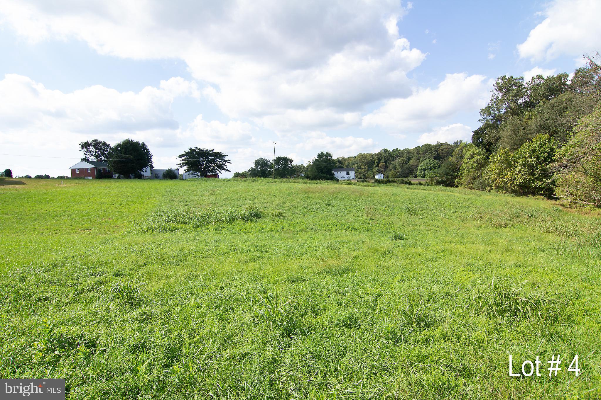 7319 Talbot Run Road Mount Airy, MD 21771 - Photo 53 of 54 View of the lot before the home was built