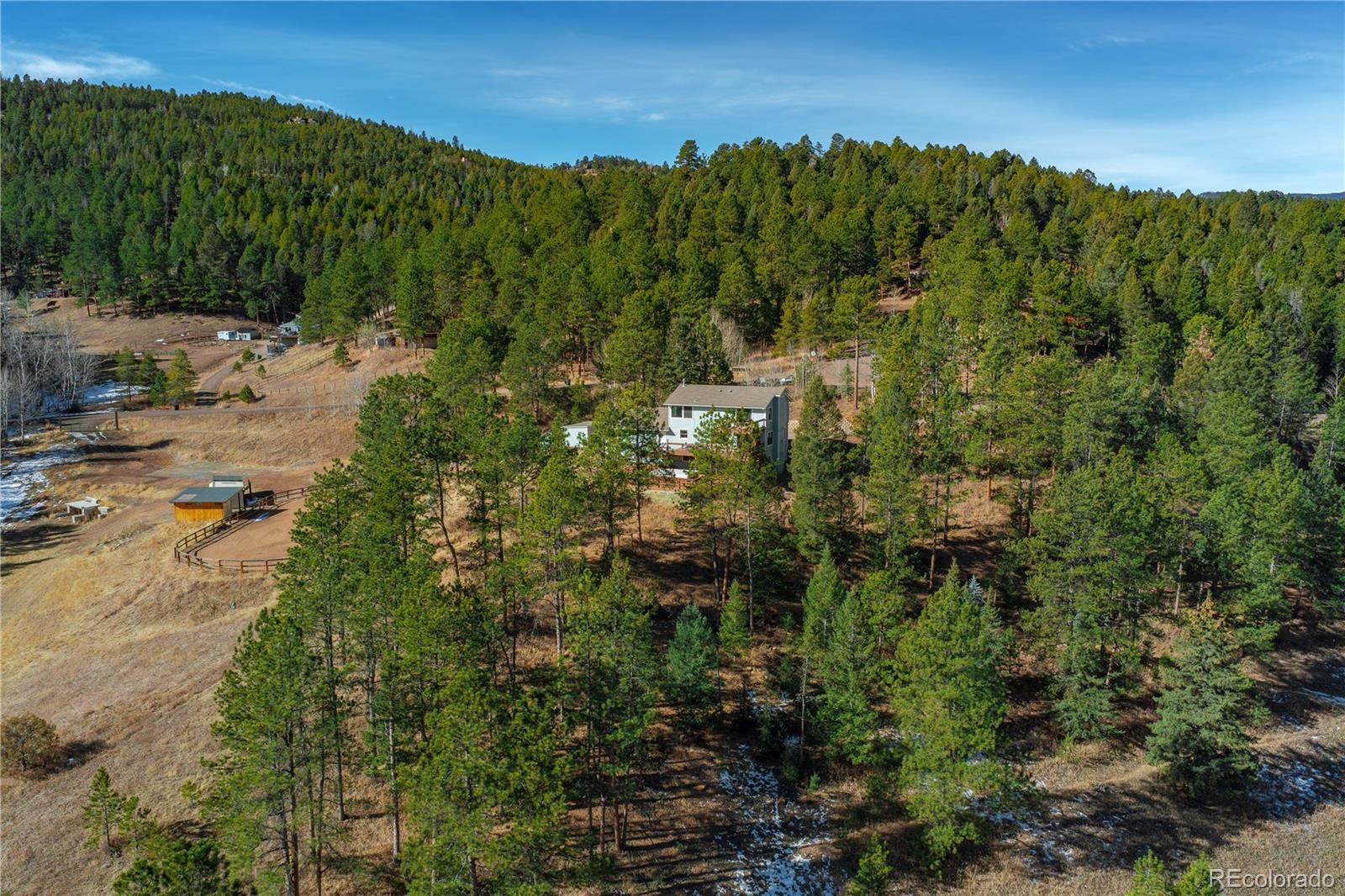 11842 South Geronimo Trail Conifer, CO 80433 - Photo 36 of 41 a view of a forest with a houses