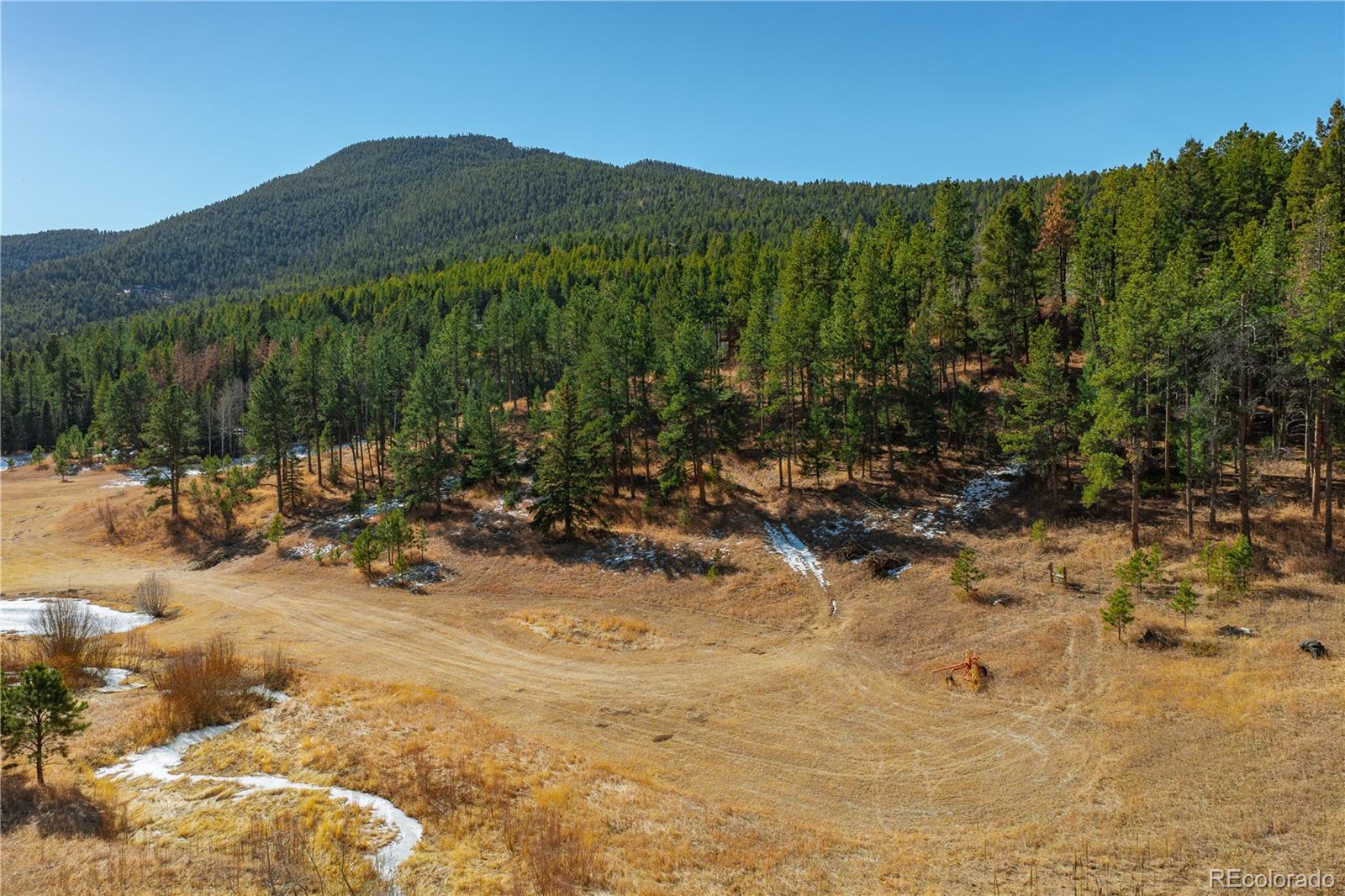 11842 South Geronimo Trail Conifer, CO 80433 - Photo 39 of 41 a view of a forest with mountains in the background