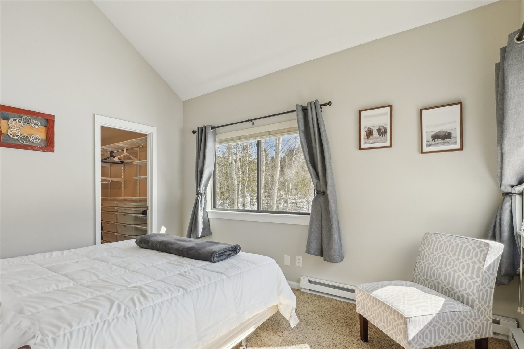 1944 Soda Ridge Road, Unit 1228 Keystone, CO 80435 - Photo 17 of 46 Bedroom featuring a baseboard radiator, carpet, a spacious closet, and vaulted ceiling
