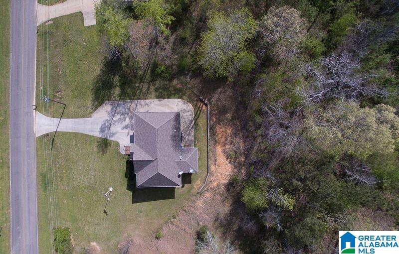 13787 Remlap Drive Remlap, AL 35133 - Photo 23 of 25