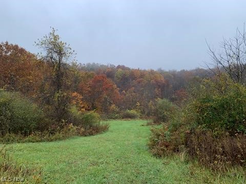 Morrison Hill Road Caldwell, OH 43724 - Photo 3 of 15 View of grassy yard featuring a view of trees