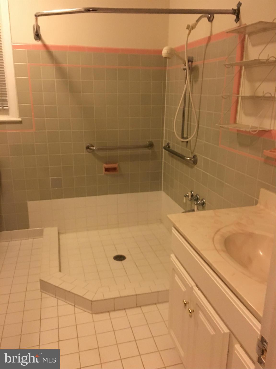 5201 Hagan Road Temple Hills, MD 20748 - Photo 7 of 8 Bath (Master)