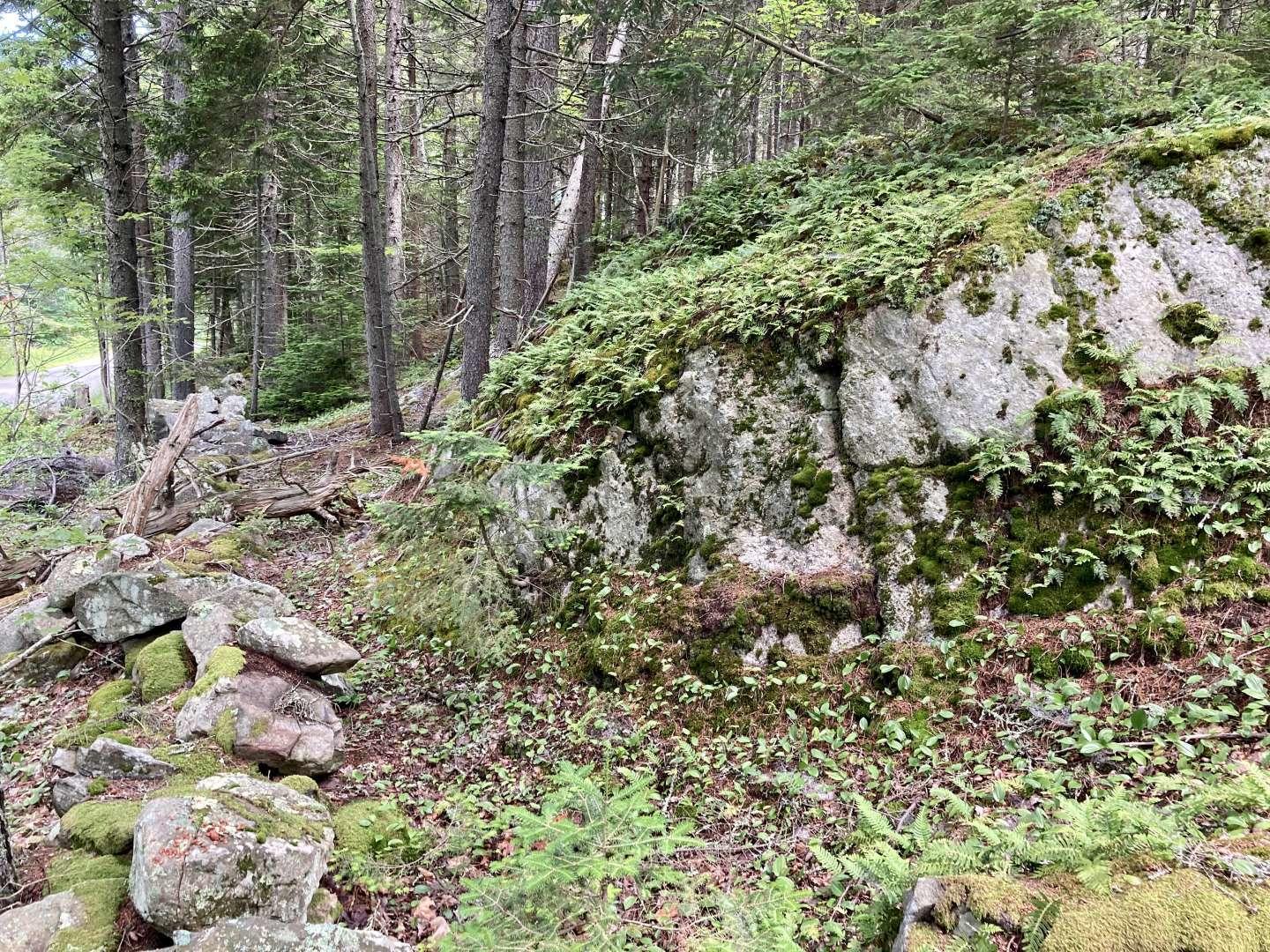 0 Wadsworth Point Road Friendship, ME 04547 - Photo 18 of 19 Li.18