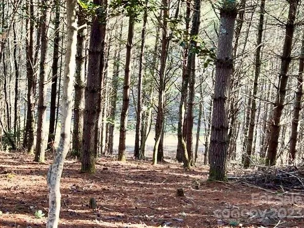 $79,900 | 2.29-acres Lot 94 2.29-acres Drive, Unit 94, Lenoir, NC 28645