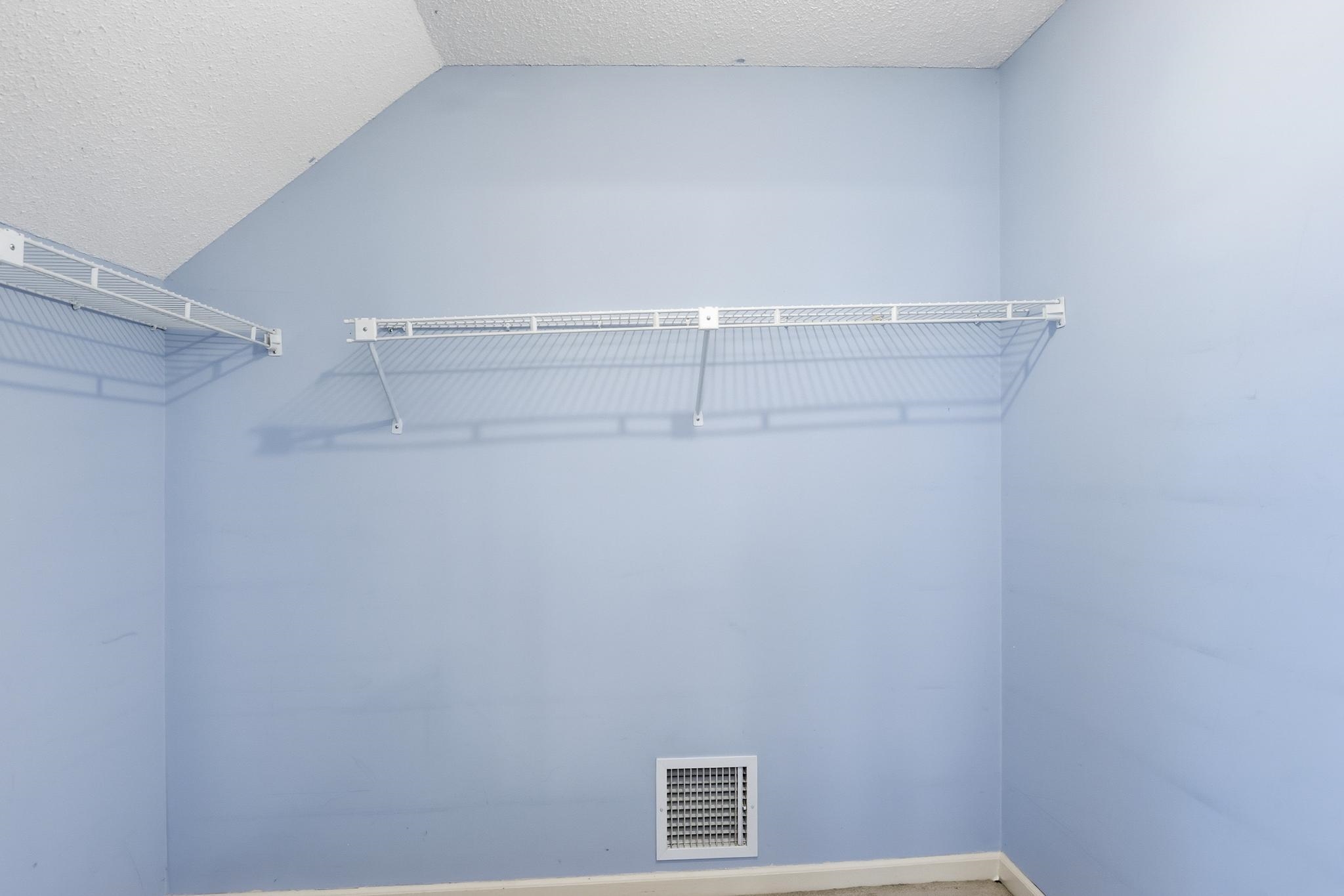 2670 Stout Rd Cove Memphis, TN 38119 - Photo 27 of 37 Spacious closet with vaulted ceiling