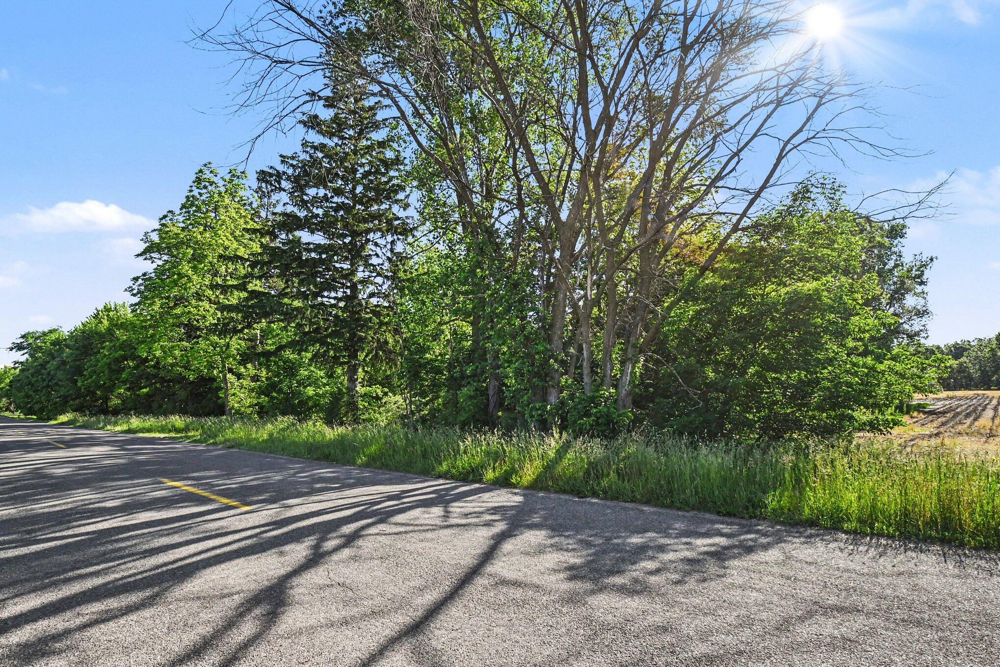 9605 Holden Road Baroda, MI 49101 - Photo 4 of 9 4