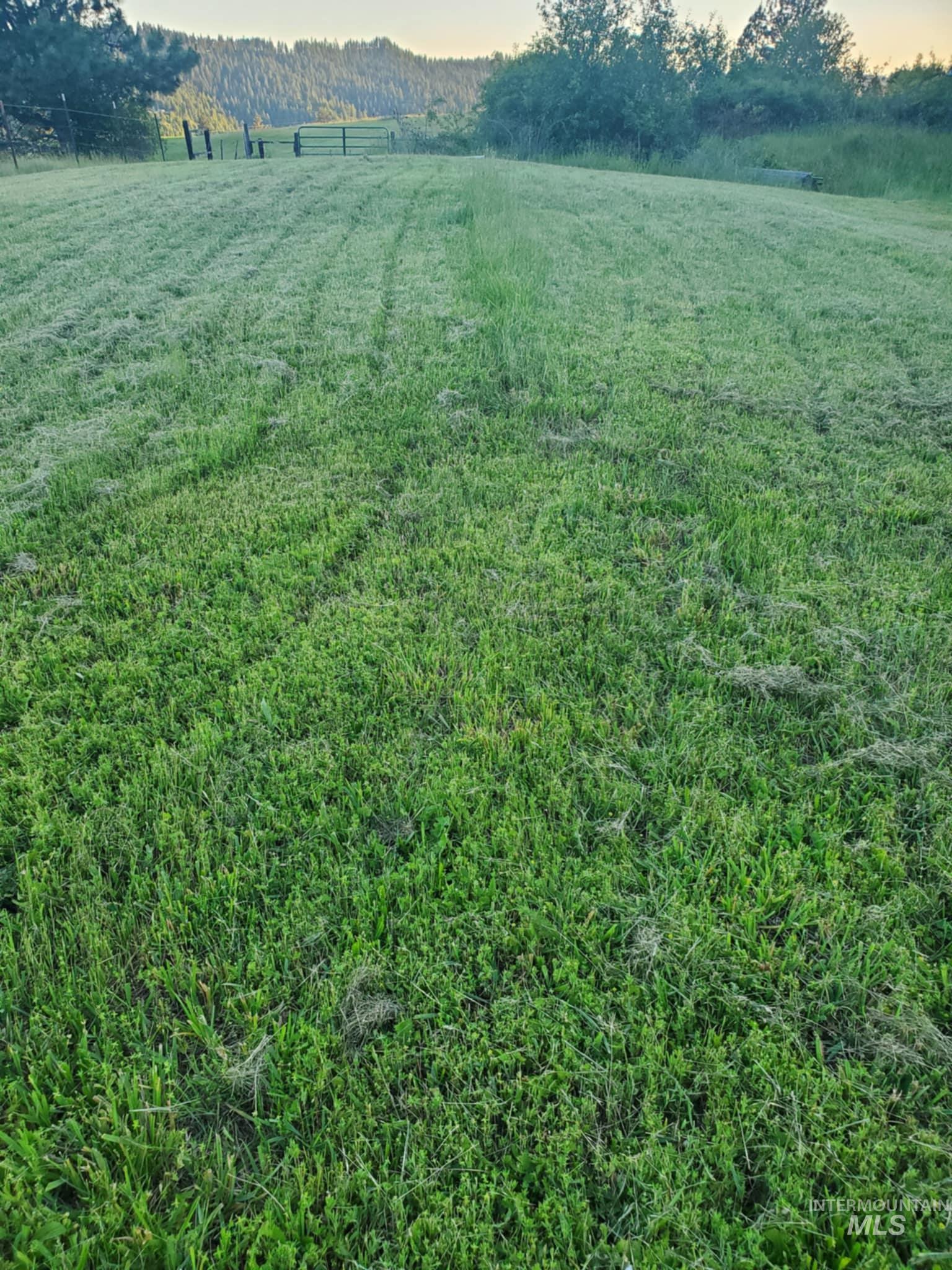 Tbd Harmony Hts Loop Orofino, ID 83544 - Photo 11 of 16 View of yard featuring a view of rural / pastoral area