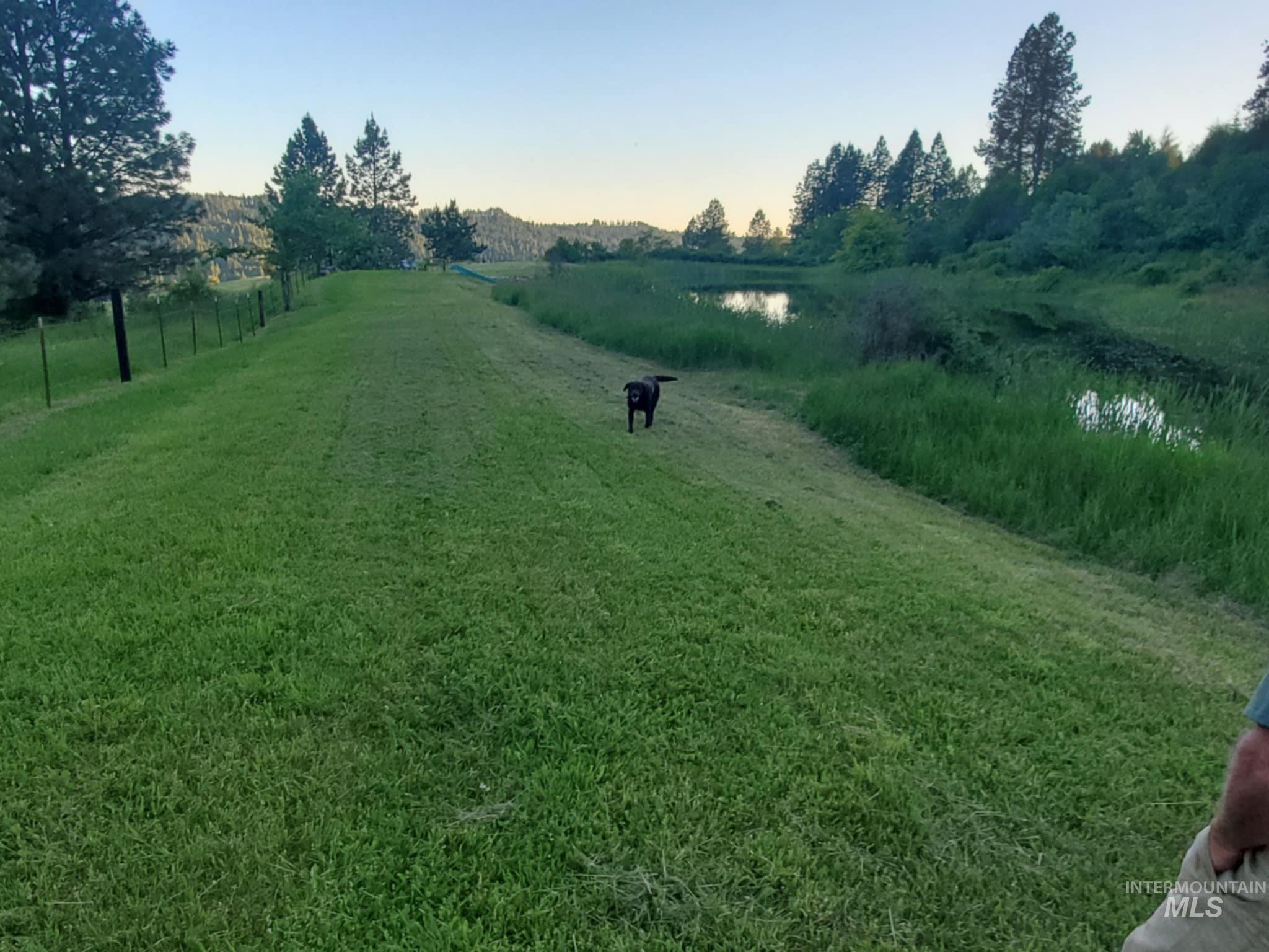 Tbd Harmony Hts Loop Orofino, ID 83544 - Photo 12 of 16 View of green lawn featuring a rural view