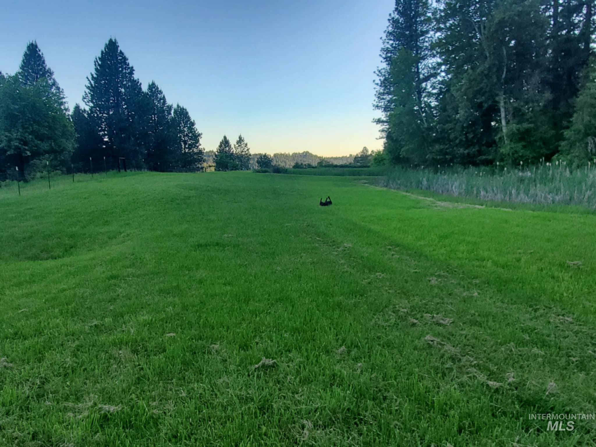 Tbd Harmony Hts Loop Orofino, ID 83544 - Photo 13 of 16 View of green lawn with a view of rural / pastoral area