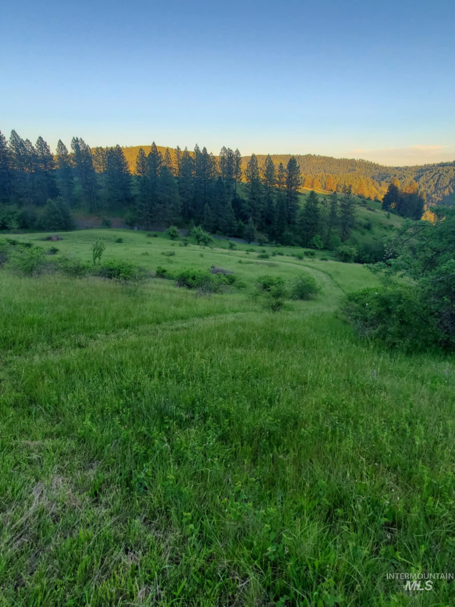 Tbd Harmony Hts Loop Orofino, ID 83544 - Photo 2 of 16 View of tree filled area with a view of rural / pastoral area